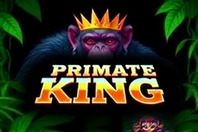 Jungle Quest