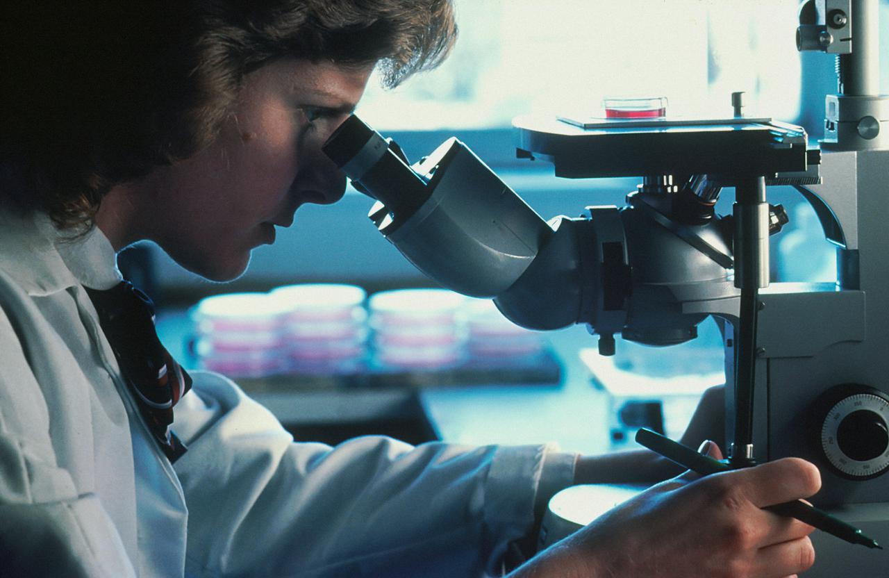 Profile shot of a Caucasian female scientist looking through an inverted microscope at cells that have been grown in culture media.