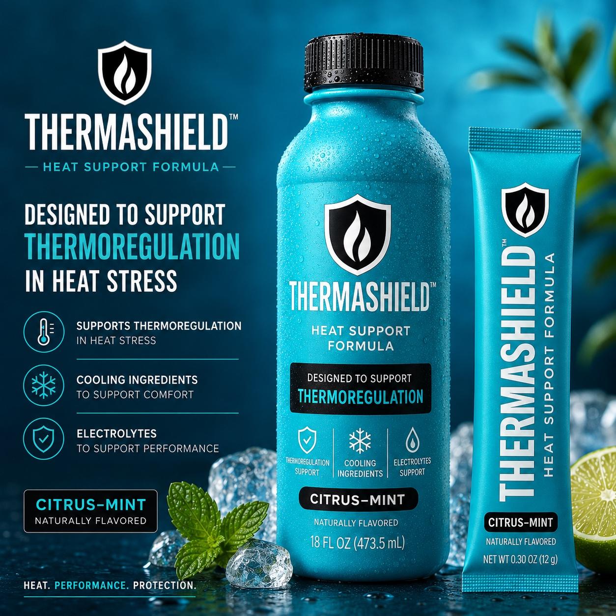 thermashield logo.jpg