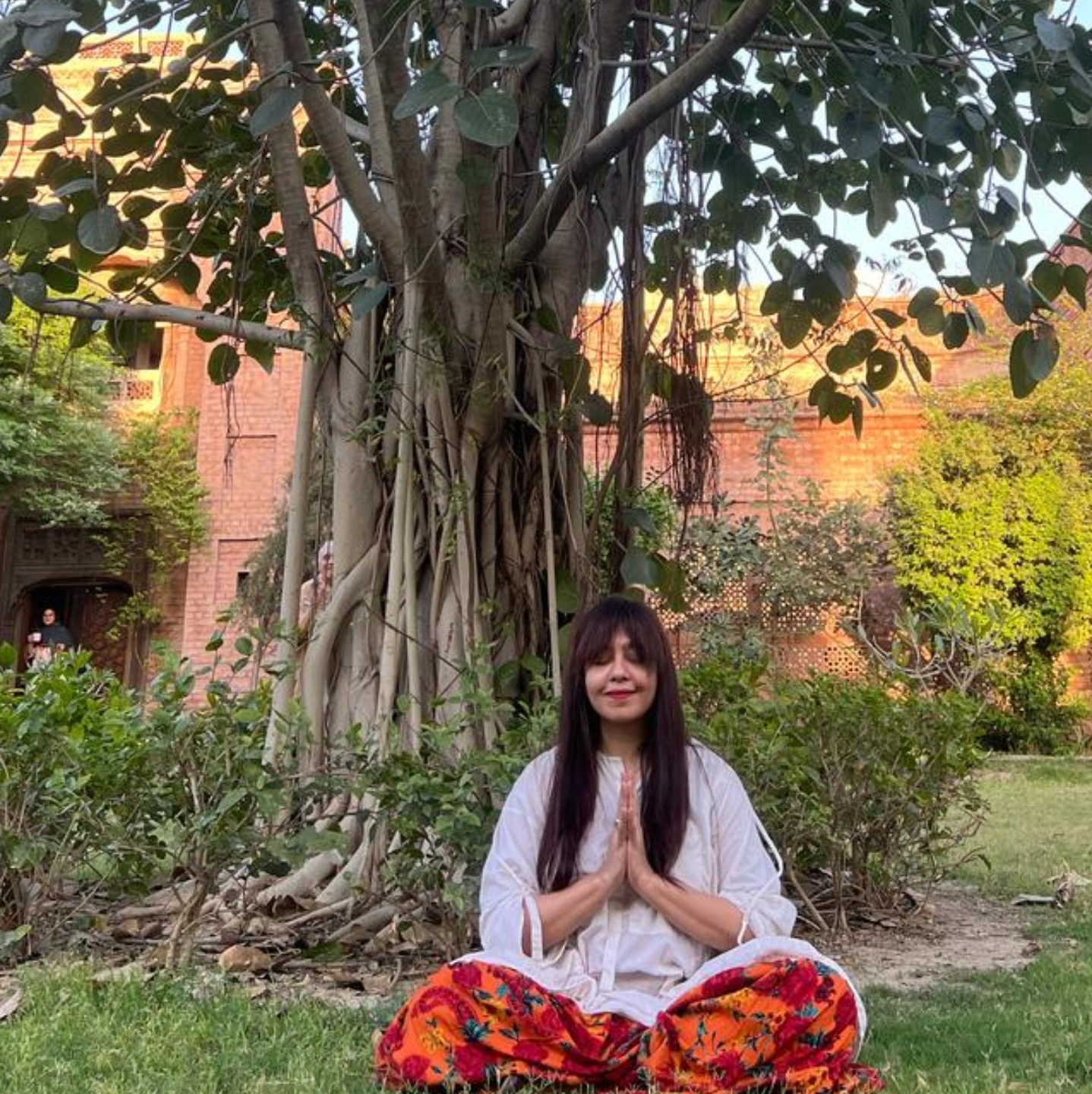 The Somatic Path practitioner