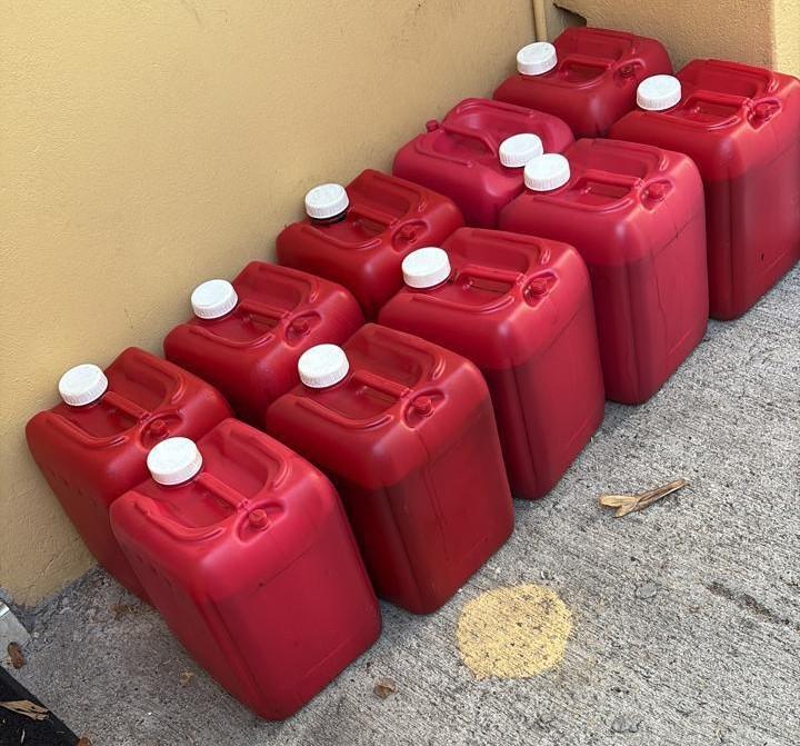 jmo bulk closeup.jpeg