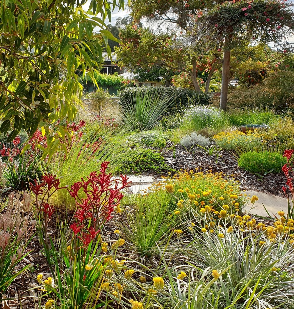 native-garden-pollinator_friendly-1744963103463-1744963195666.jpg