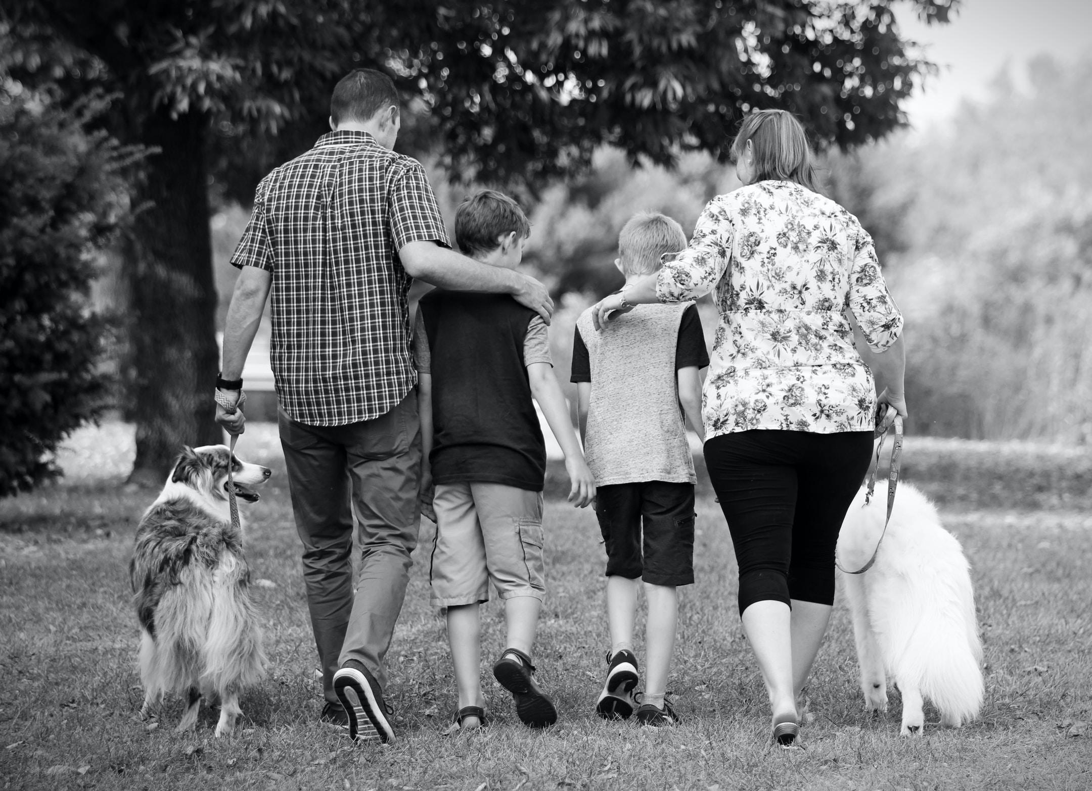 A family walks with their 2 kids and 2 dogs.