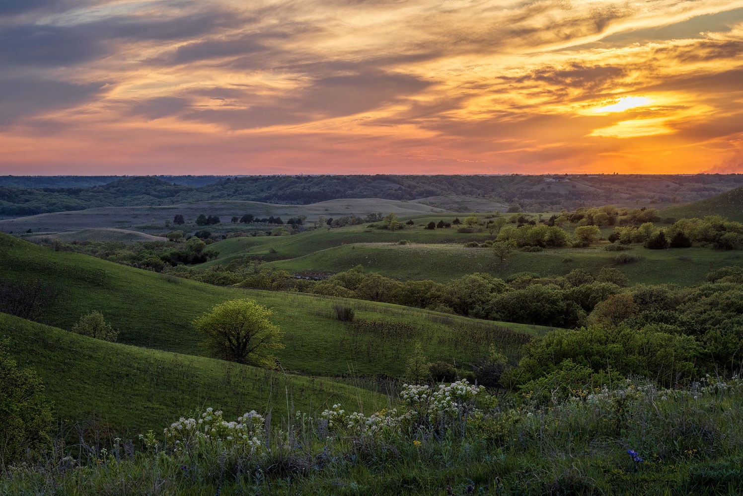 Pott County landscape