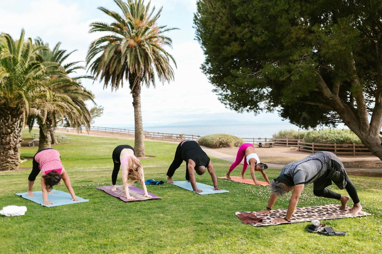 Group practicing yoga outdoors in a scenic park with palm trees, focusing on wellness and fitness.