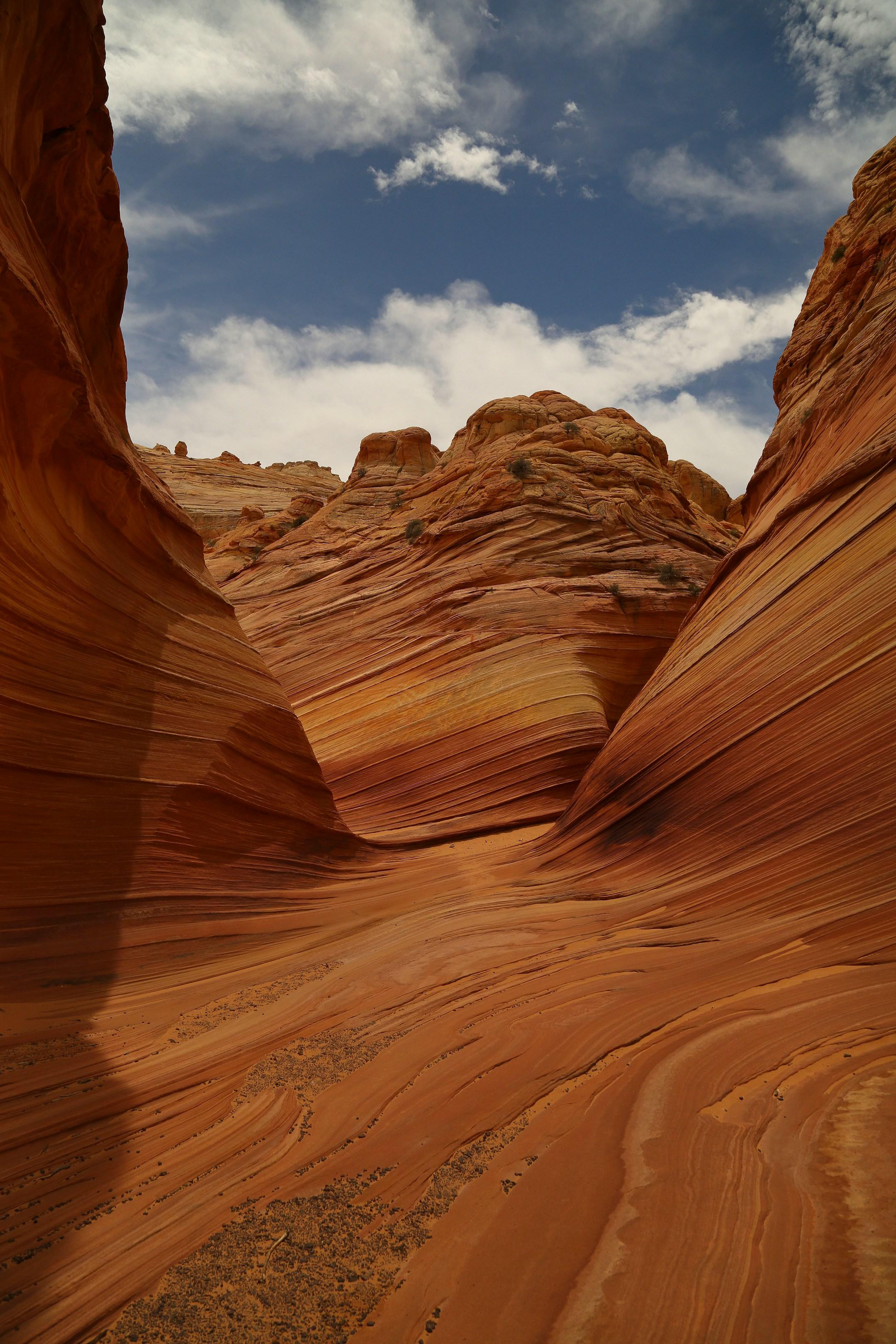 I got long hot bike in the desert to the wave and if you are lucky enough to find it it’s so worth it