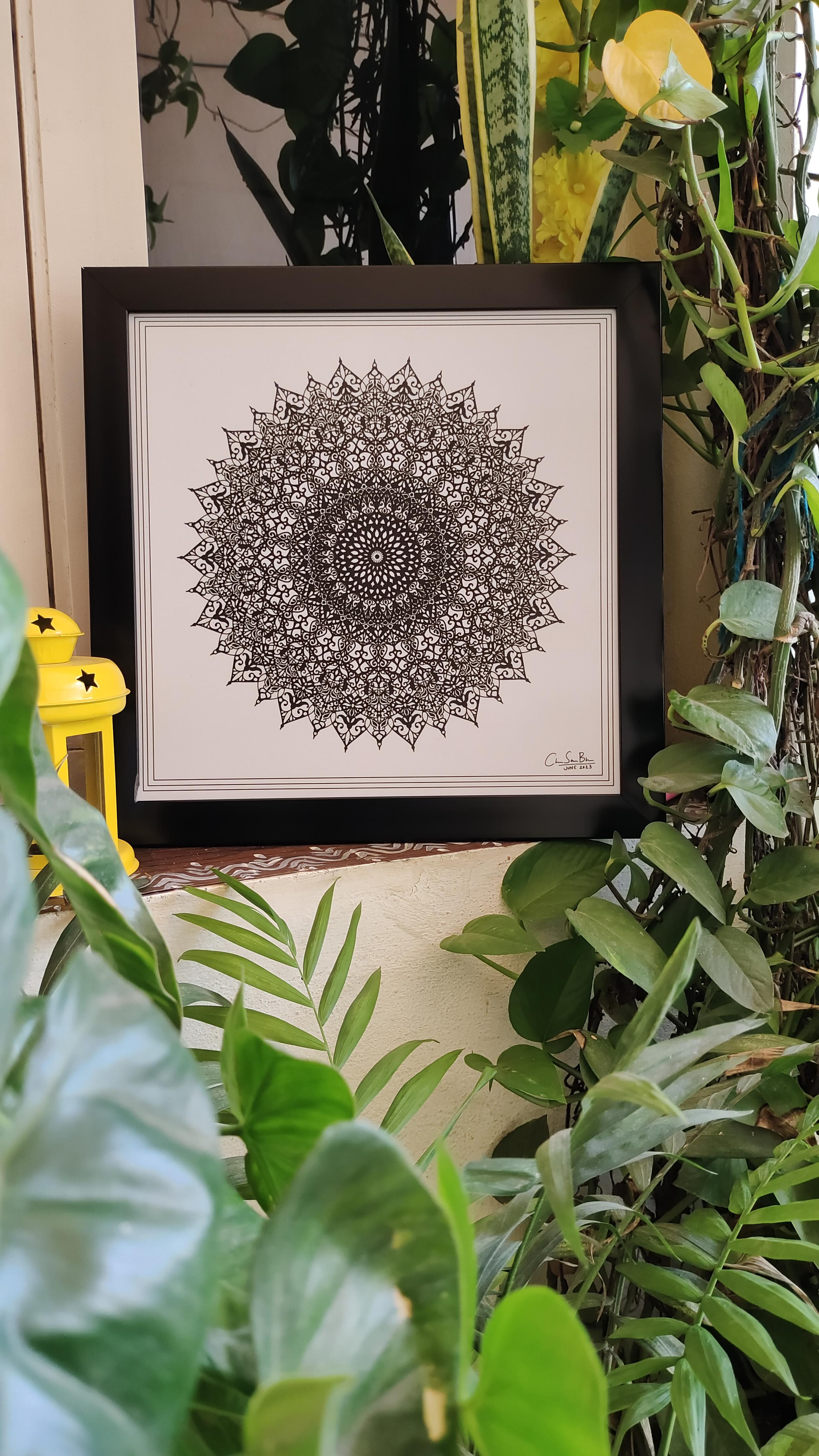 img_20240221_141800.jpg
