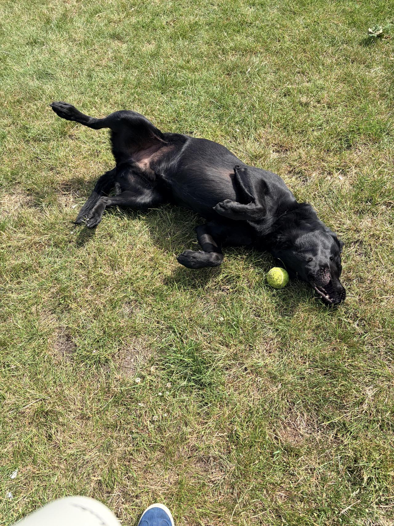img_2306.jpeg