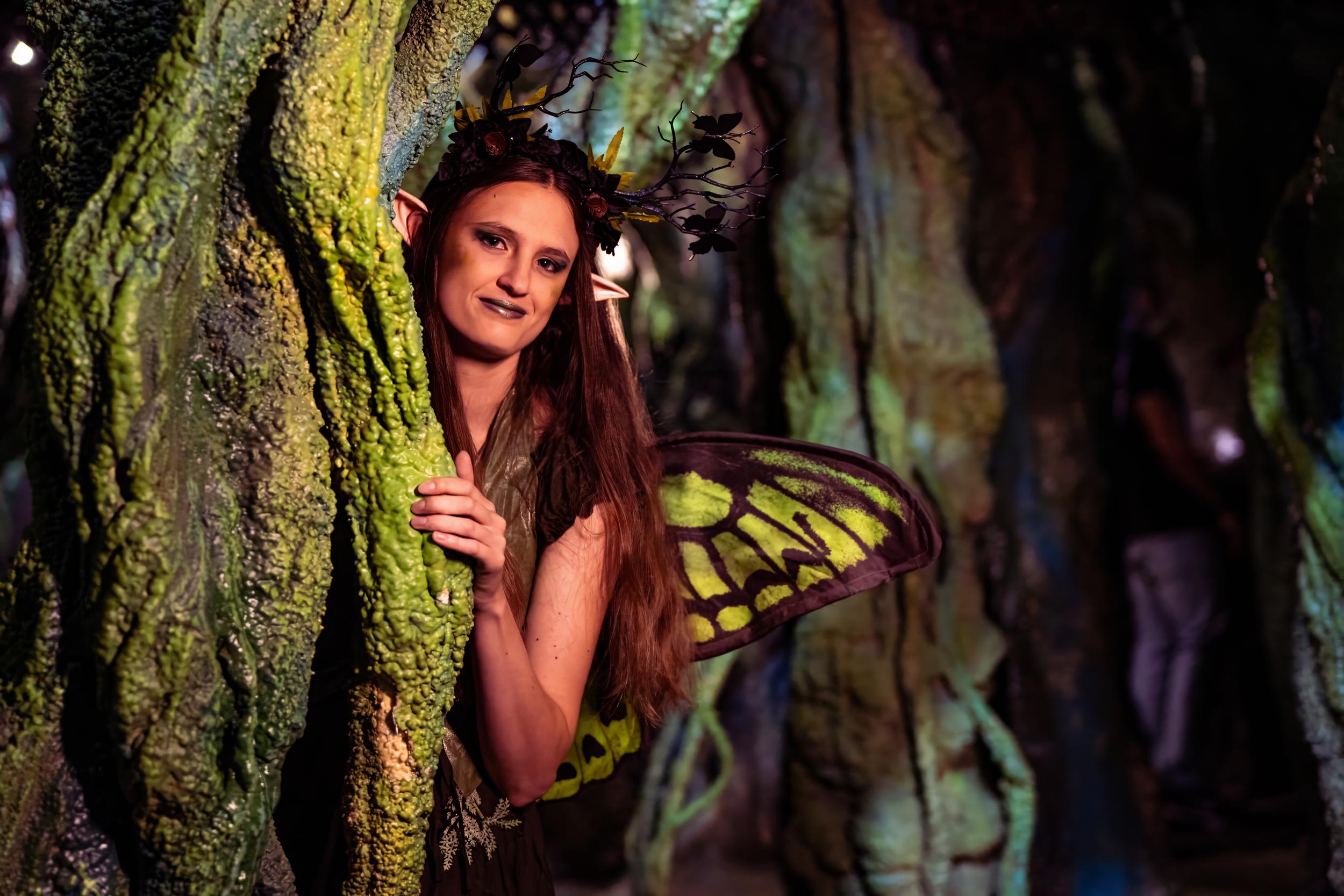 wizard quest family photo shootdsc01591-topaz-denoise.jpg