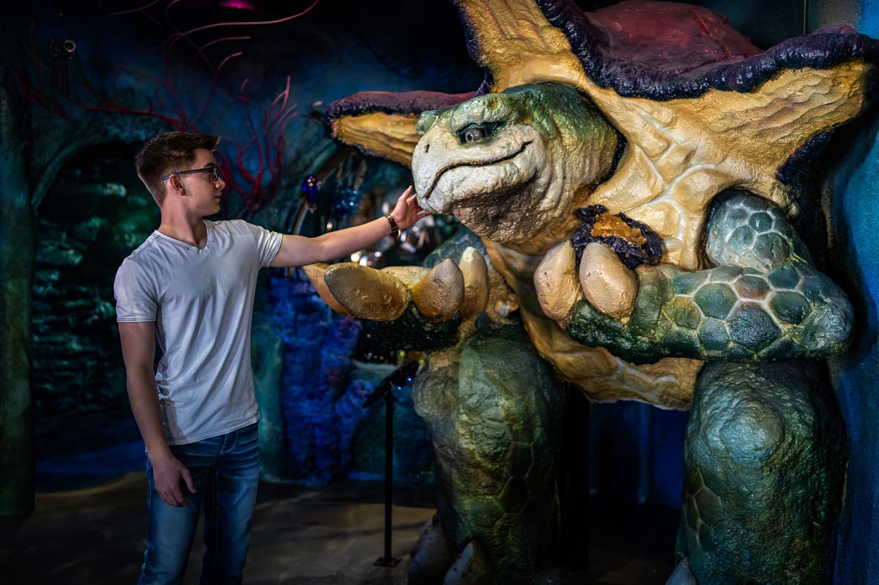 wizard quest family photo shootdsc01739-topaz-denoise.jpg