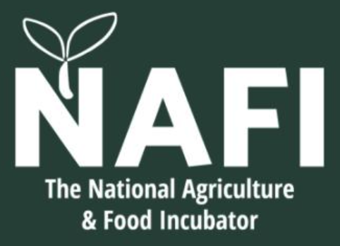 nafi-logo.png.webp