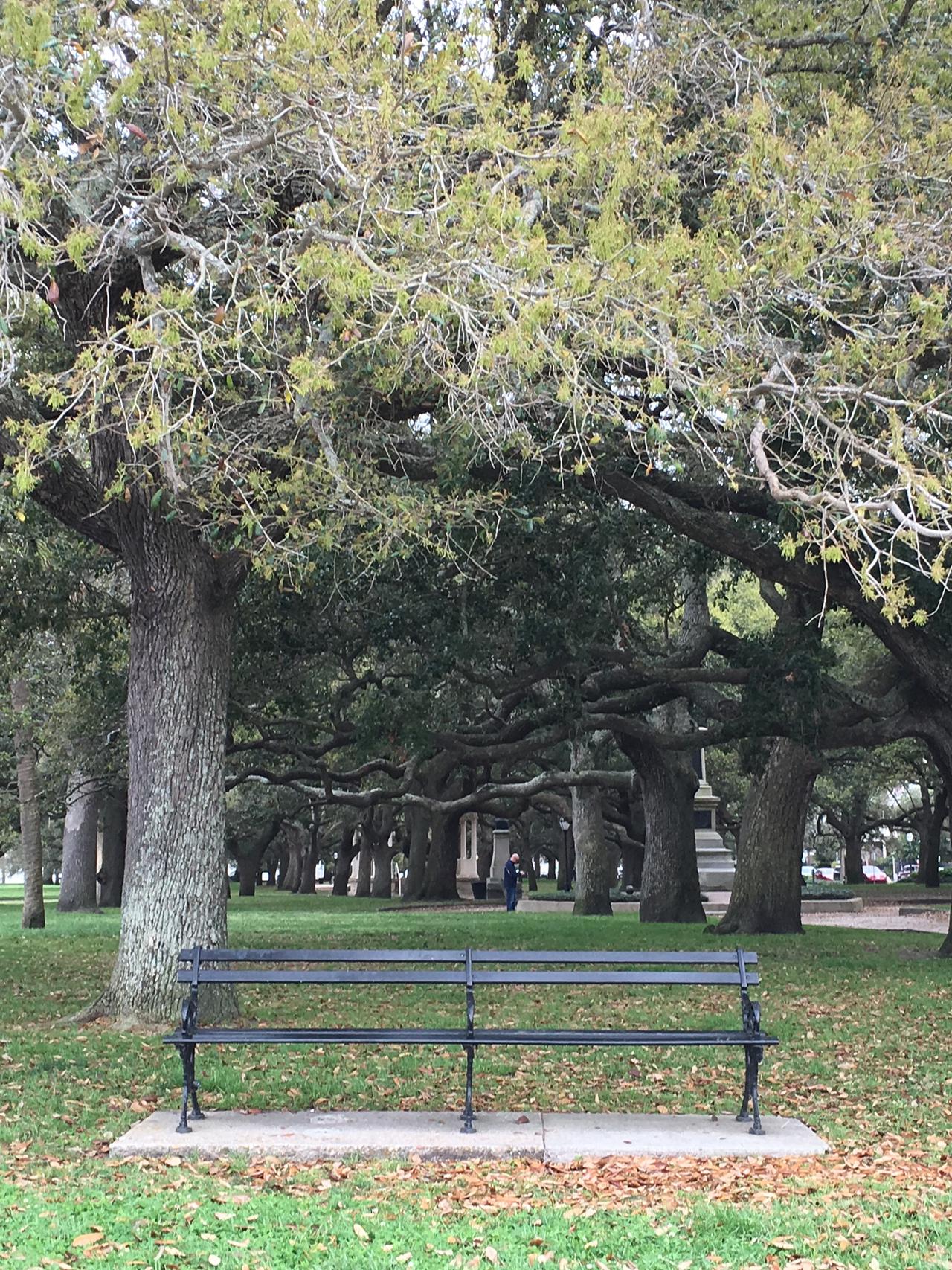 charleston bench.jpg