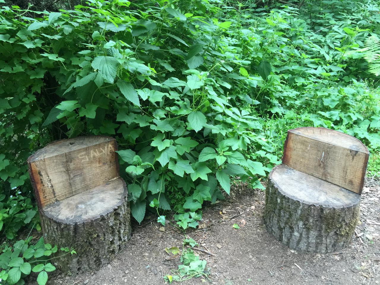 tree stump chairs.jpg