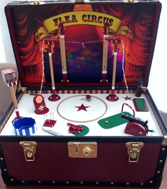 best flea cirucs.jpg