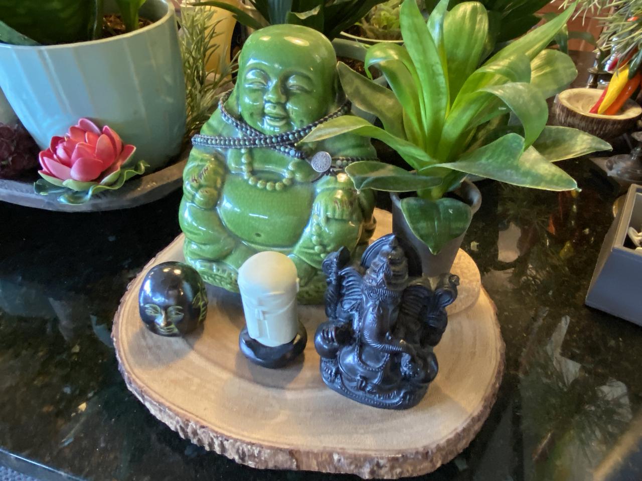 condo 20 green buddha.jpeg