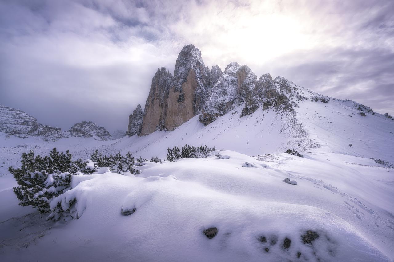 _dsc1621-migliorato-nr-modifica-copia.jpg
