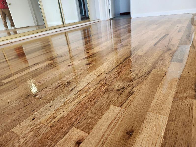 mar_11_2025_4_38_14_6 (1).jpg