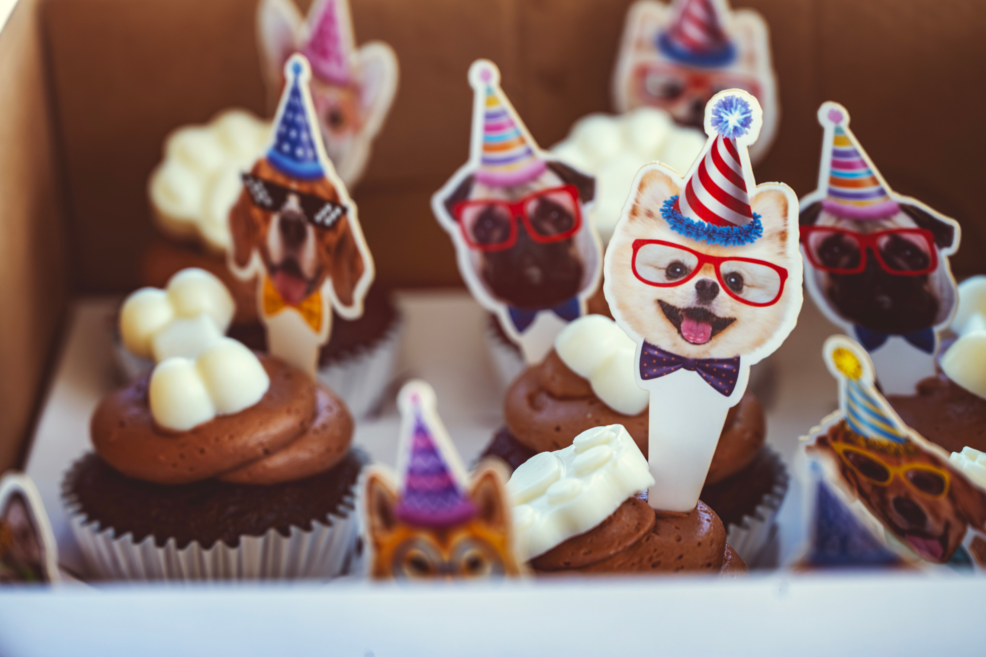 August Community Birthday Party celebration
