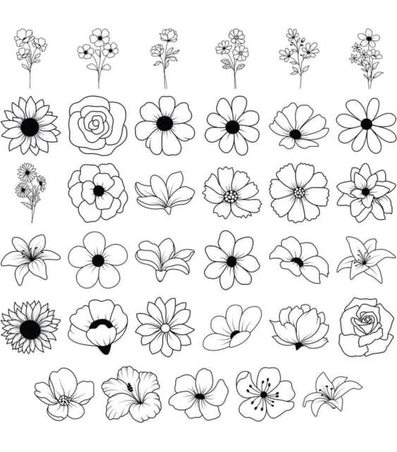 528176891_1288253719517772_3764135672979478629_n.jpg