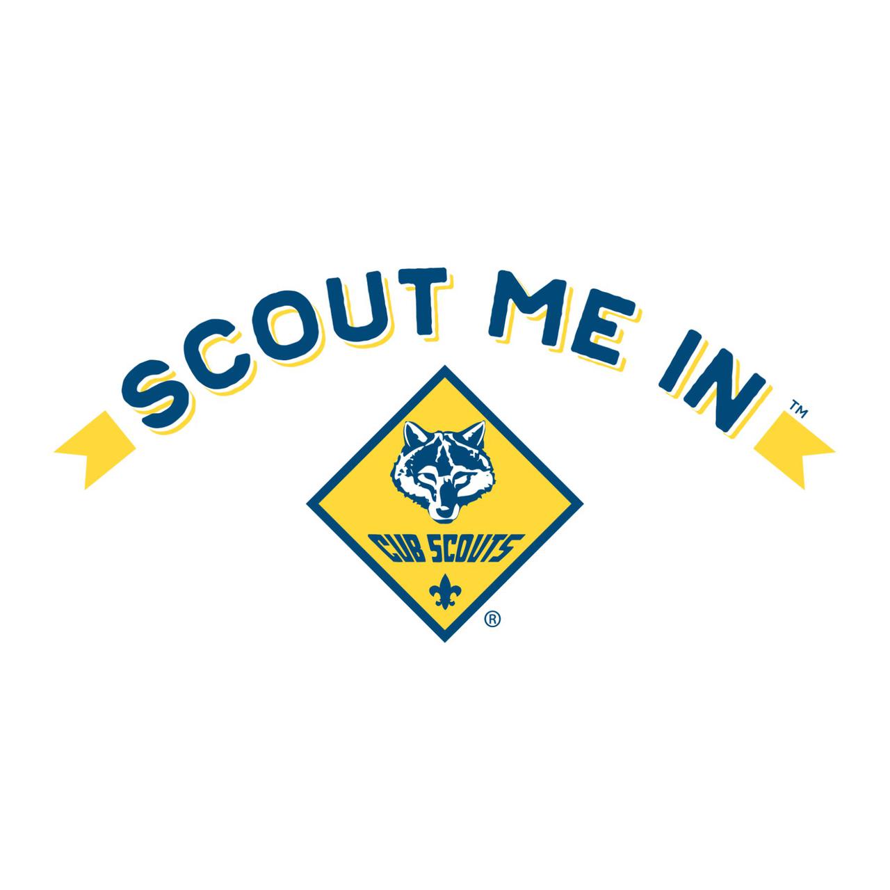 scouts square.jpg