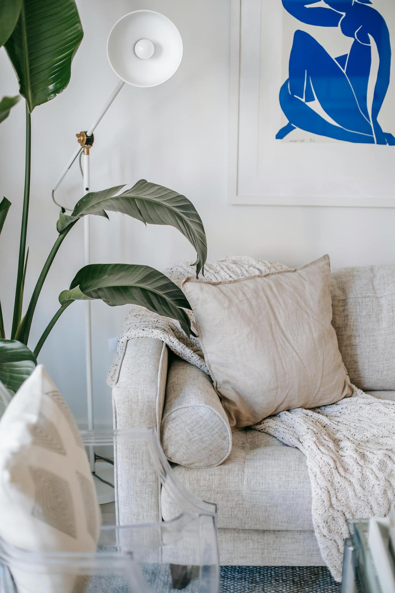 Stylish living room with modern sofa, plant, and abstract art in a minimalist setting.