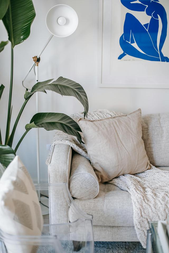 Stylish living room with modern sofa, plant, and abstract art in a minimalist setting.