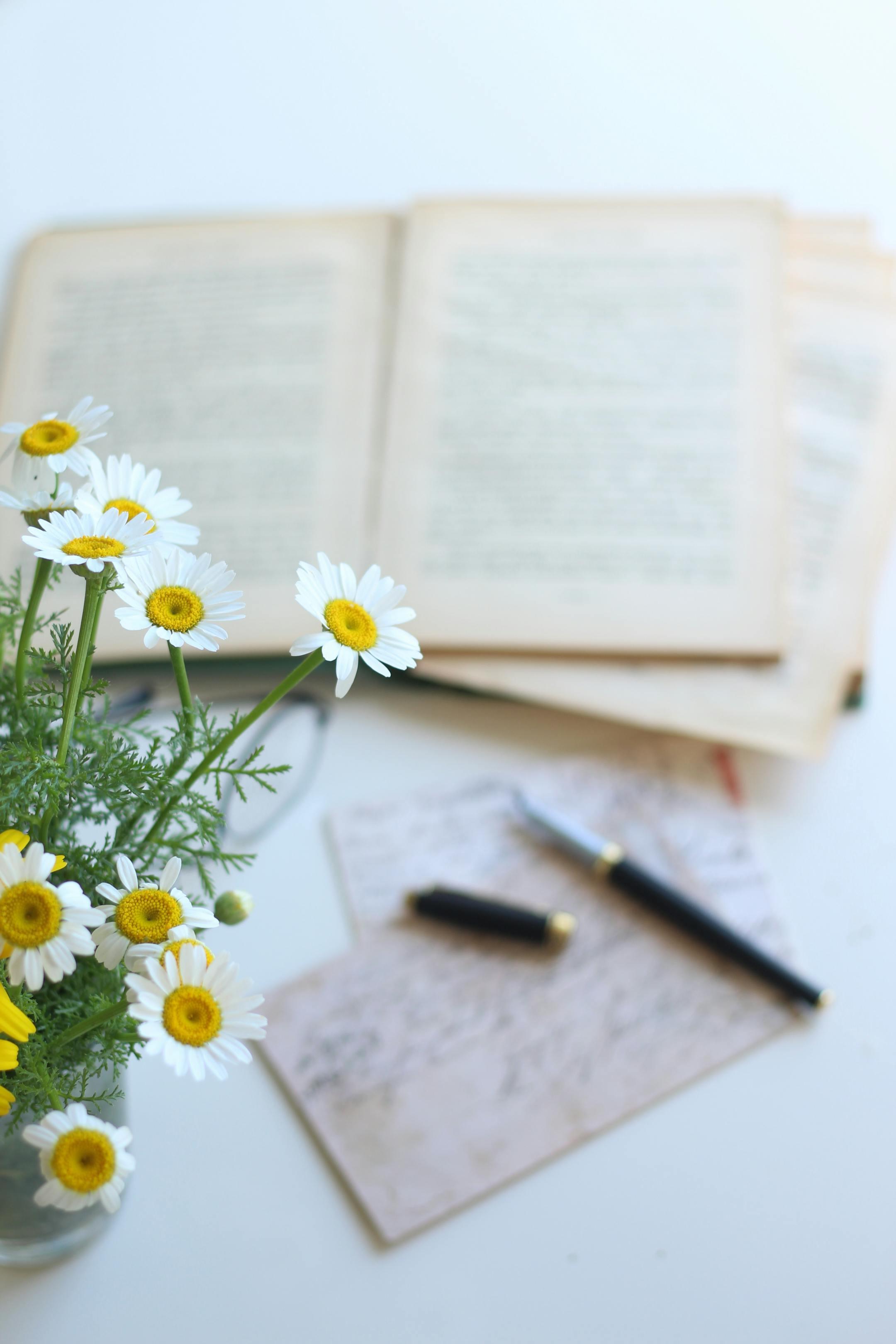 Elegant arrangement of daisies, an open book, and a pen on a light surface. Ideal for themes of writing and creativity.