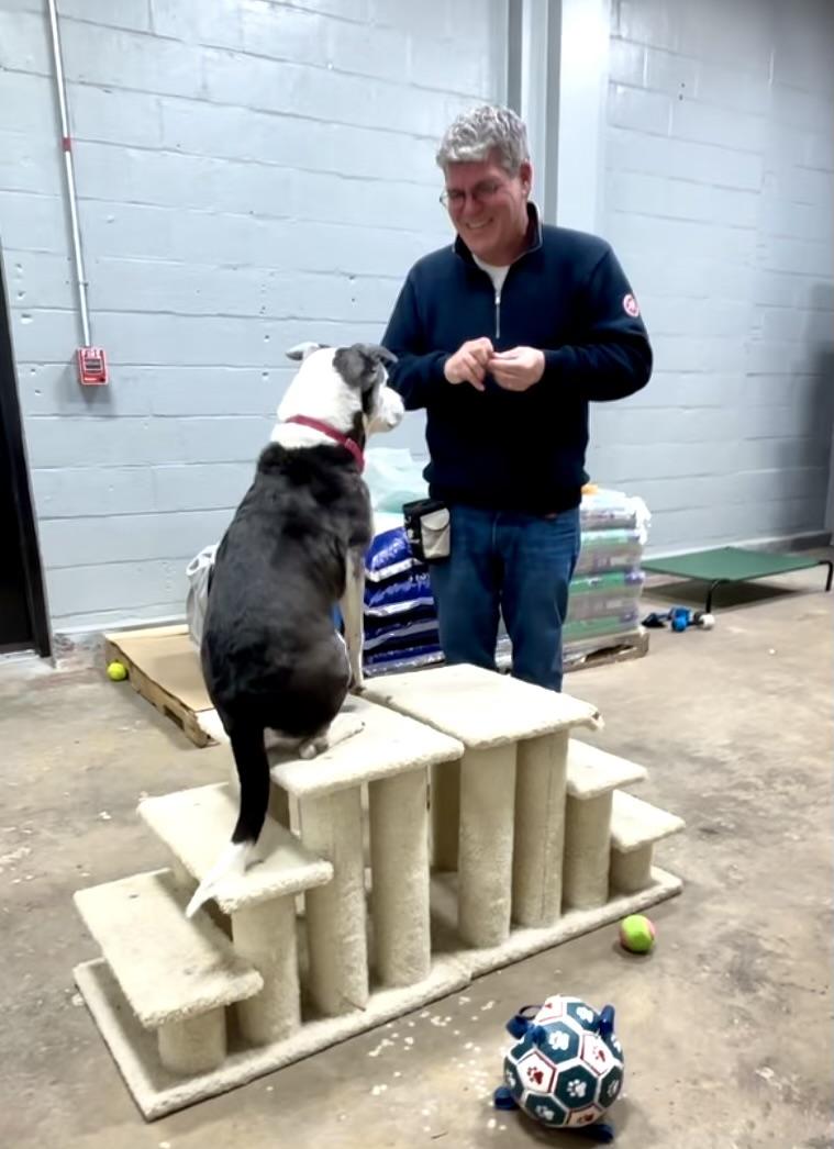 James McQuillan, CPDT-KA, owner and trainer at MM Dog Training LLC