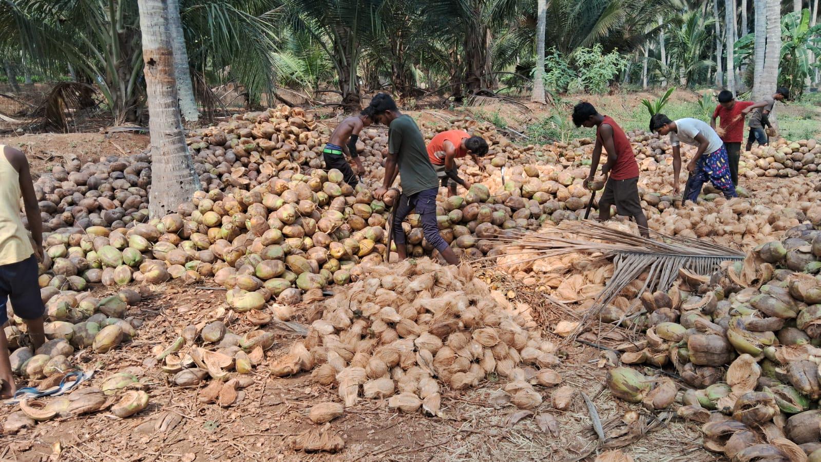 whatsapp image 2024-06-27 at 11.12.05 am.jpeg