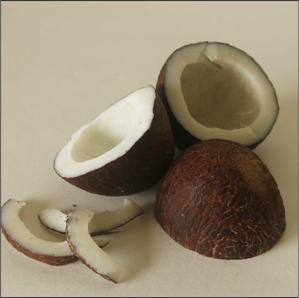 whatsapp image 2024-06-28 at 1.53.43 pm (1).jpeg