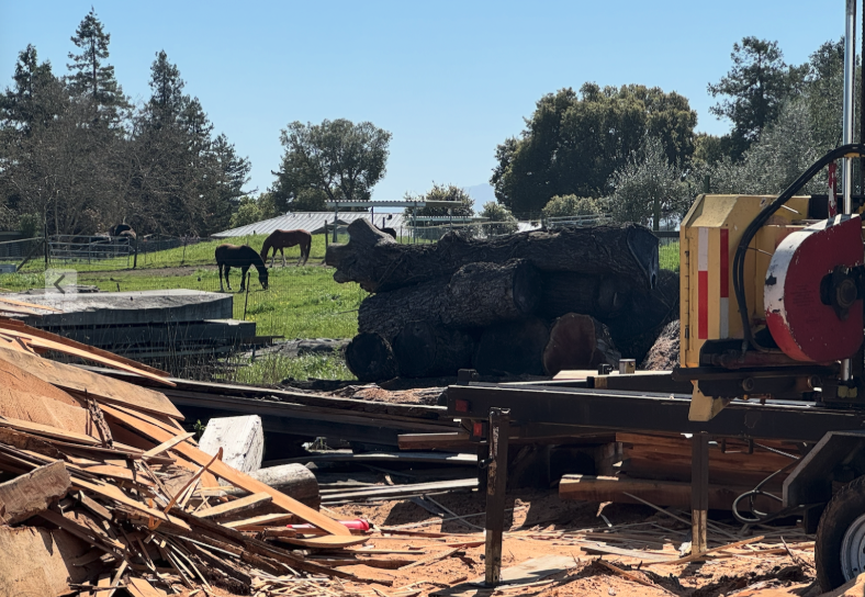 Focused on Durability and Sustainability