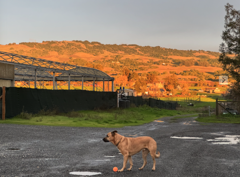 Built In-House in Sonoma County