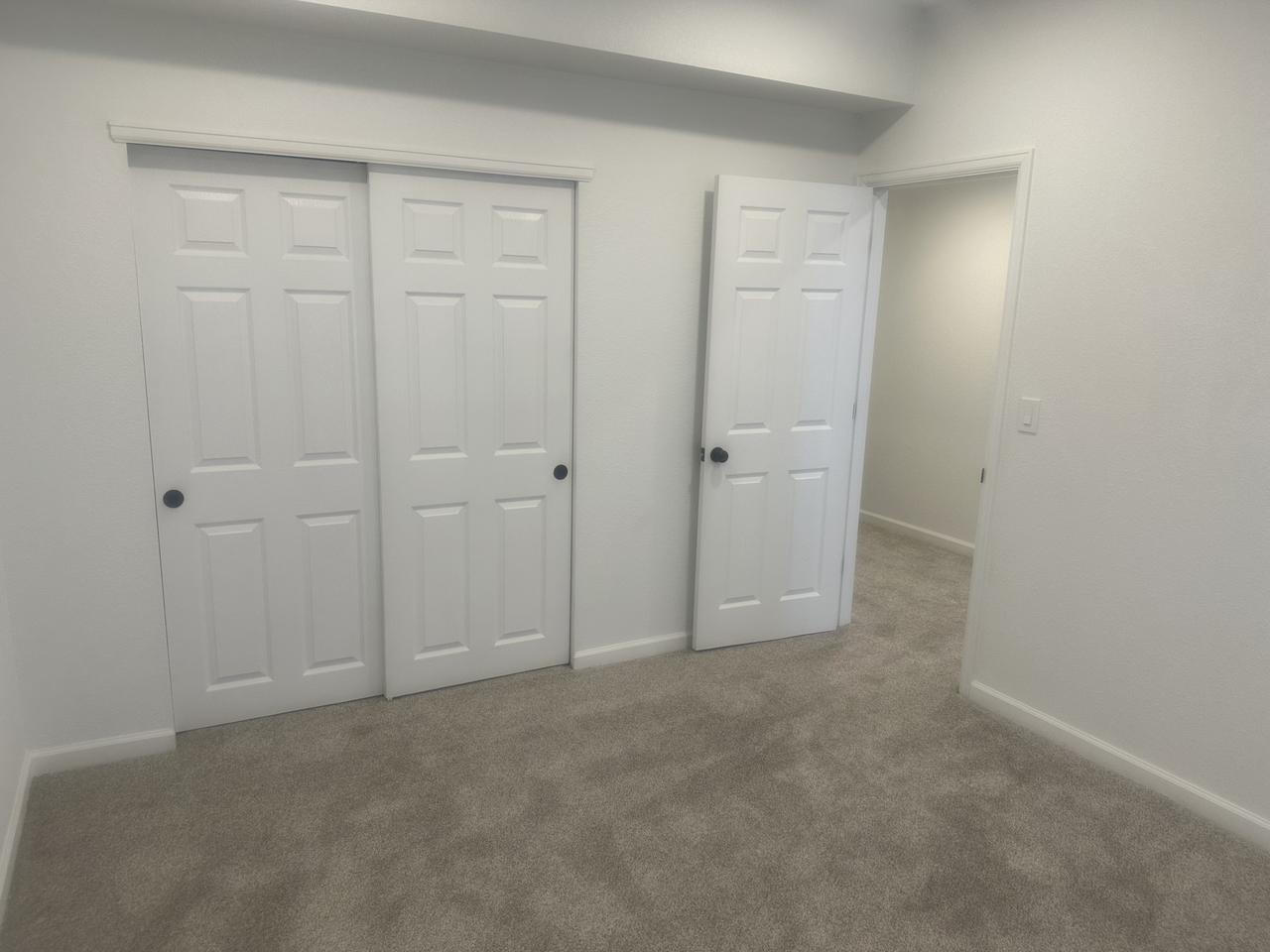 basement closet doors.jpeg