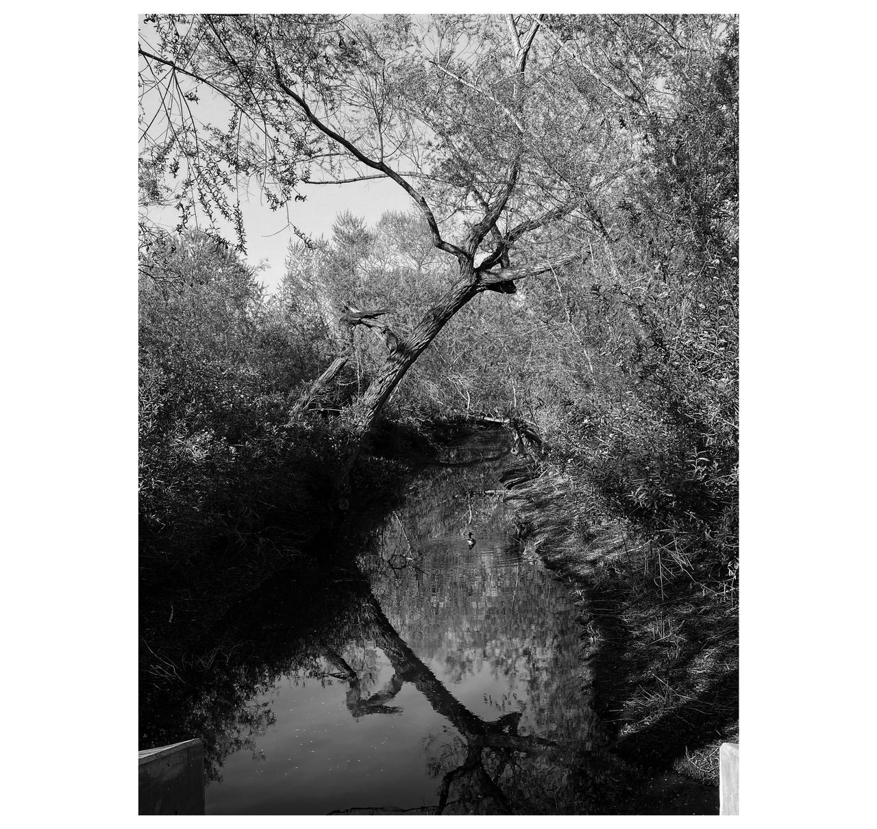 a8f1ea36-fccb-4aea-a279-7a21c15f0280.jpeg