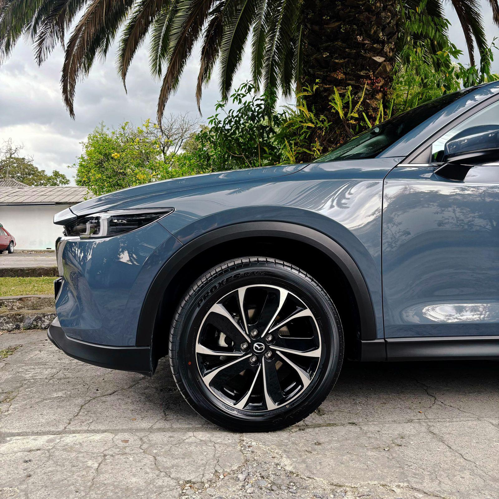 whatsapp image 2024-08-20 at 12.32.22_5ea7bbf2.jpg