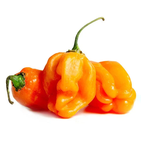 habanero image.webp