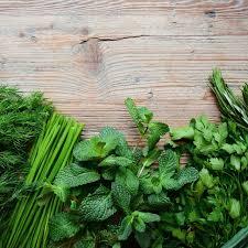 dark herb.jpg