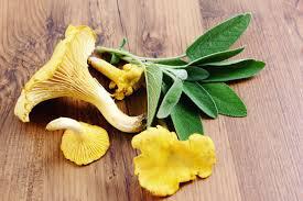 wild mushroom and sage image.jpg