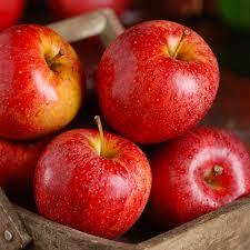 red apple.jpg