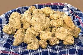 white truffle.jpg