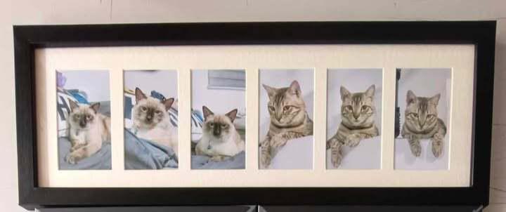 black 6in1 frame (1).jpg