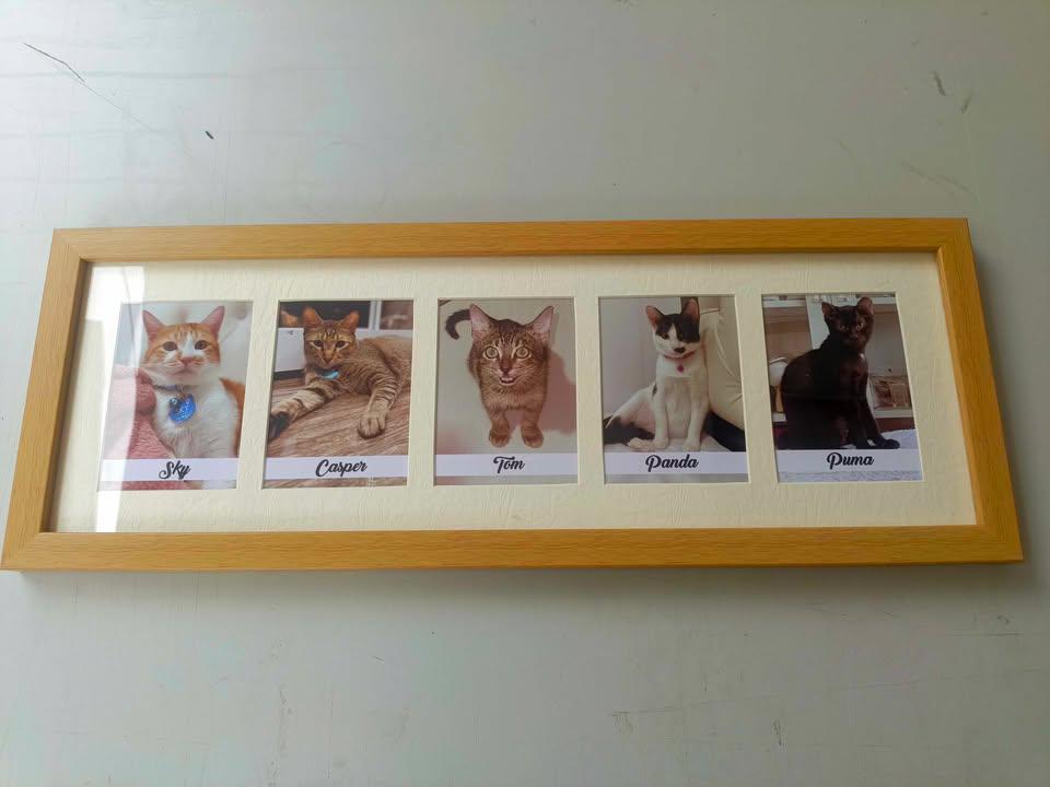 5in1 with name.jpg