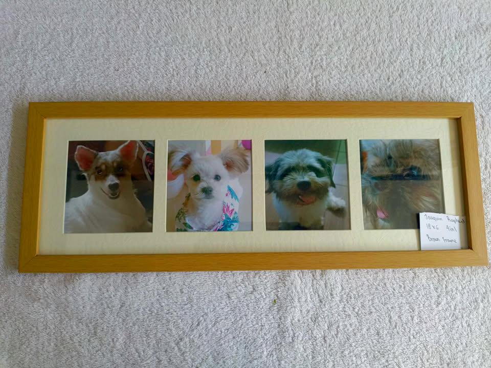 4in1 pet frame (1).jpg