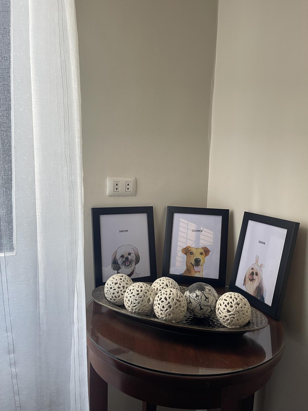 img_6097 4.jpeg