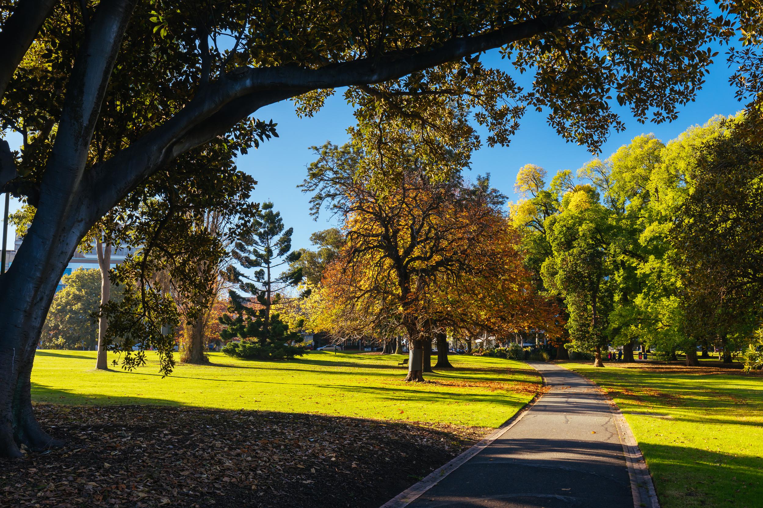Sunny day in the park