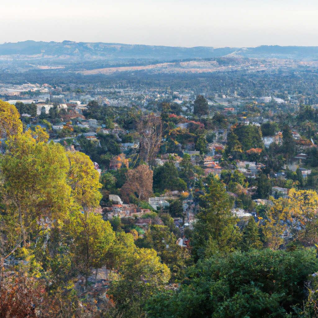 Bay Area landscape