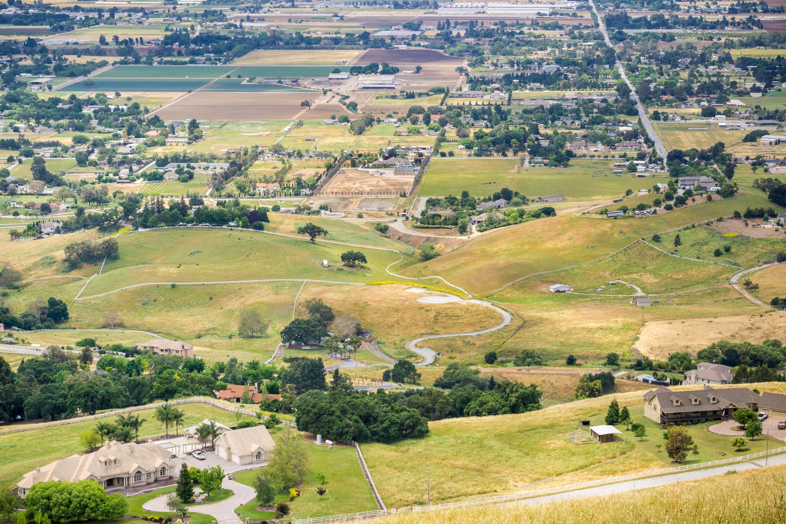 Palo Alto landscape