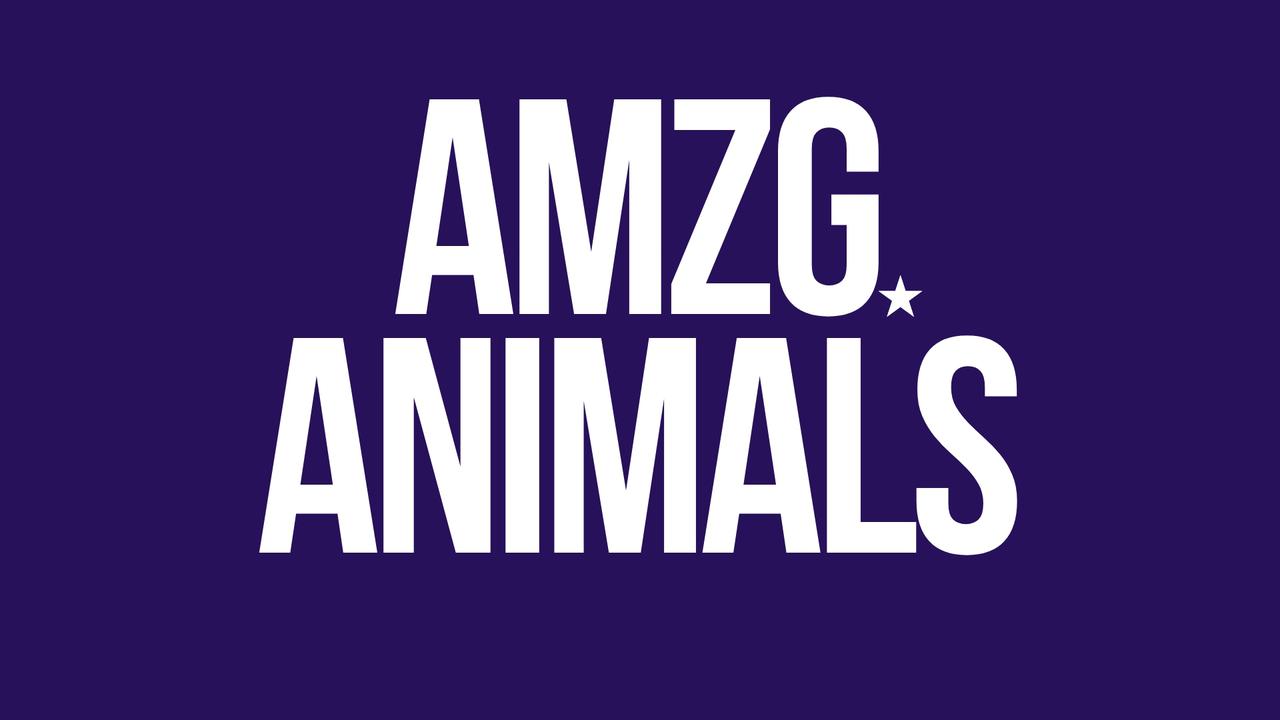 amzg animals.jpg