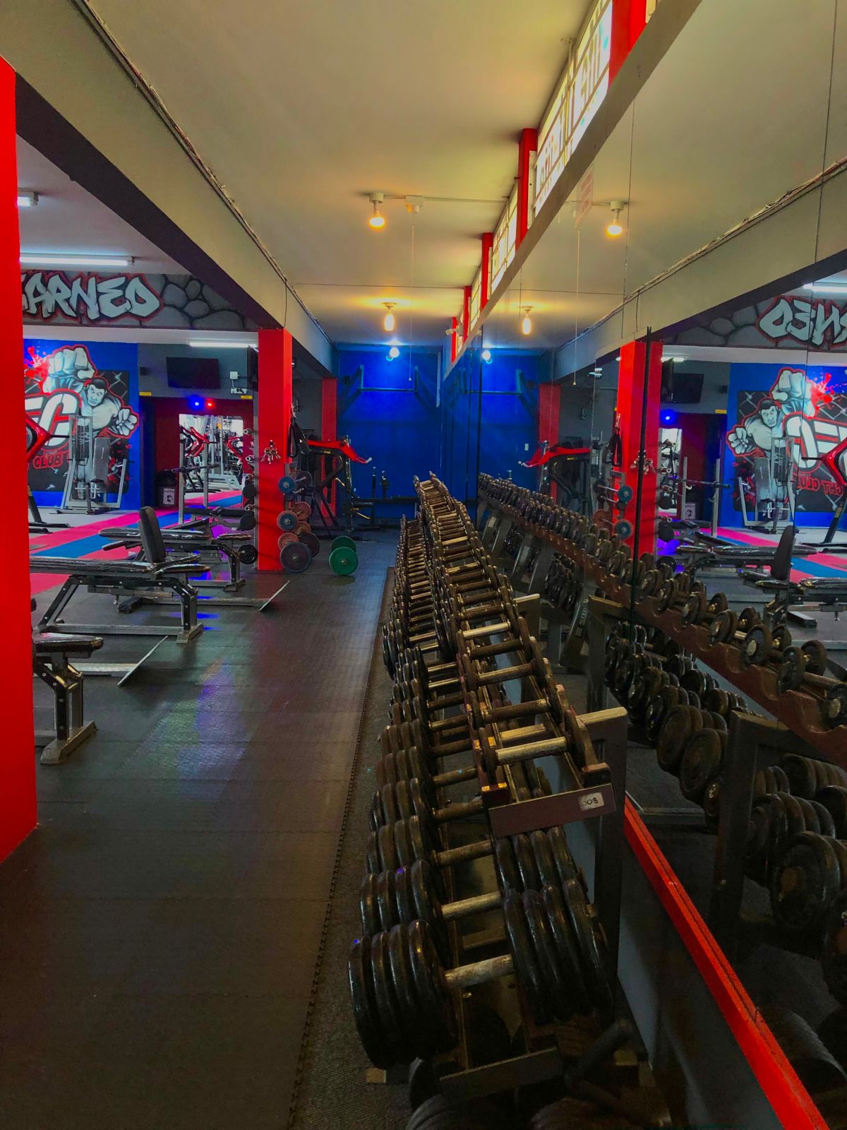 Professional weights area