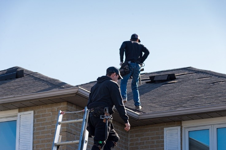 Professional roof surface inspection examining shingles and materials